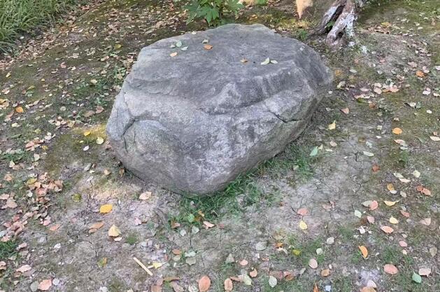 任志強(qiáng)談青島房價走勢