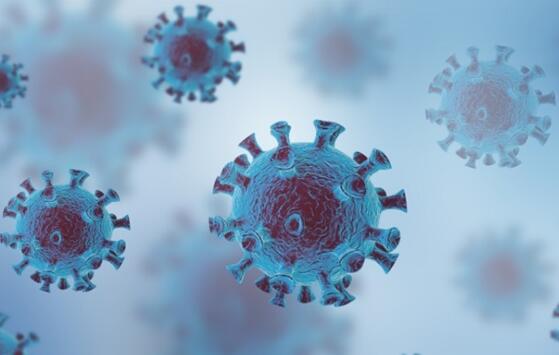 北京首次發(fā)現塞爾維亞病例