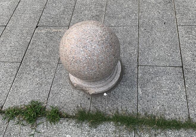 男人可以吃鵝蛋嗎？