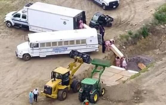 疫情期間囚犯在紐約無(wú)人島大量埋葬尸體