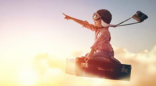 美國養殖戶要給豬安樂死