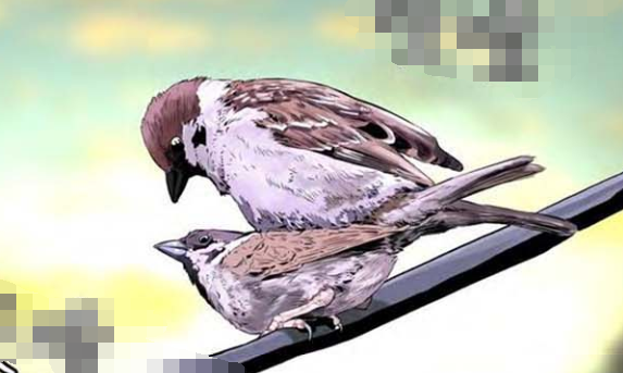 過秦論原文及翻譯