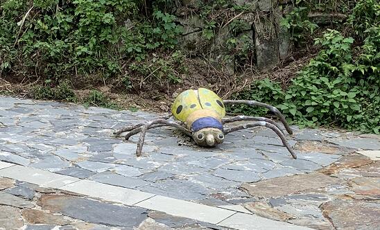 佟麗婭回應牽手神秘男子