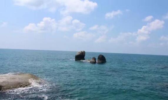 福建一鯊魚館發生致人死亡事故