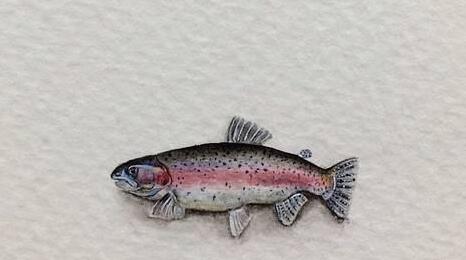 導游舉鯉魚旗參觀中山陵被怒斥