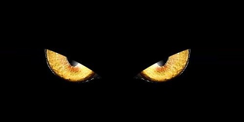 烏克蘭總統(tǒng)邀請拜登訪問基輔