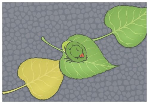 拜登口誤稱特朗普為現任總統