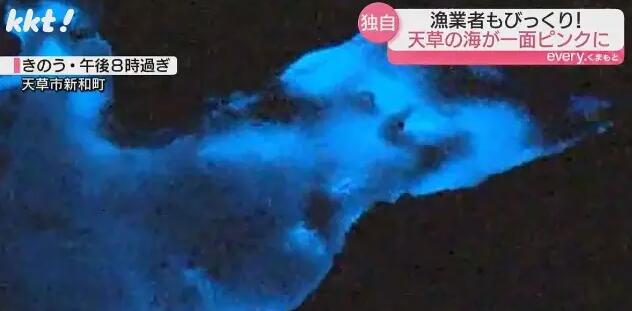 日本一處海域呈現神秘粉紅色