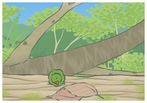 男子被杠鈴壓脖死亡健身房老板發聲