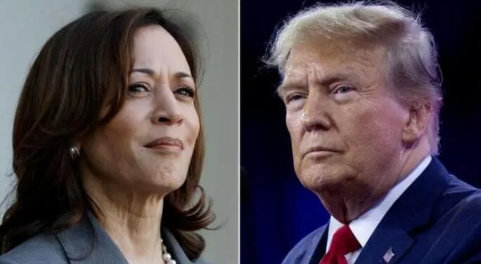 美國副總統(tǒng)哈里斯后來居上