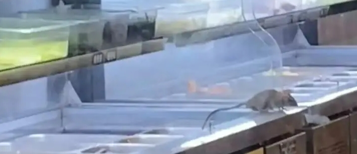 楊國福麻辣燙老鼠事件后續